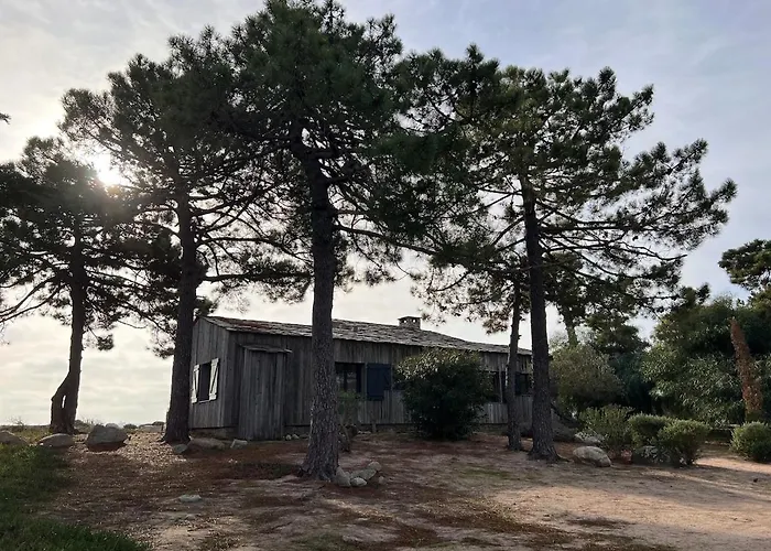 Cala Rossa Pieds Dans L'eau Porto-vecchio Villa
